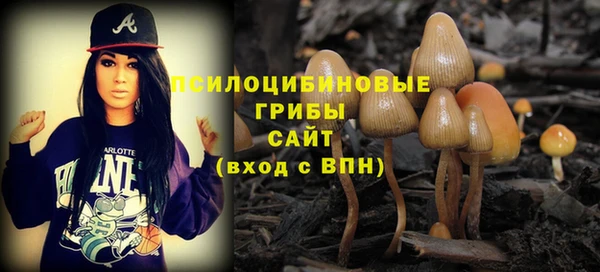PSILOCYBIN Арсеньев