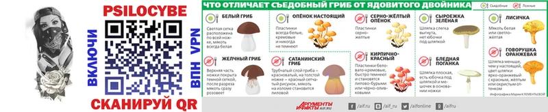 Галлюциногенные грибы Magic Shrooms Куйбышев